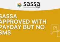 SASSA Approved With Payday But No SMS Solution