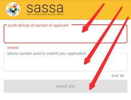 SRD SASSA Reconfirmation Process