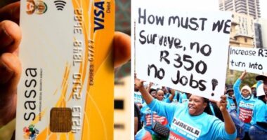 sassa-basic-income-grant